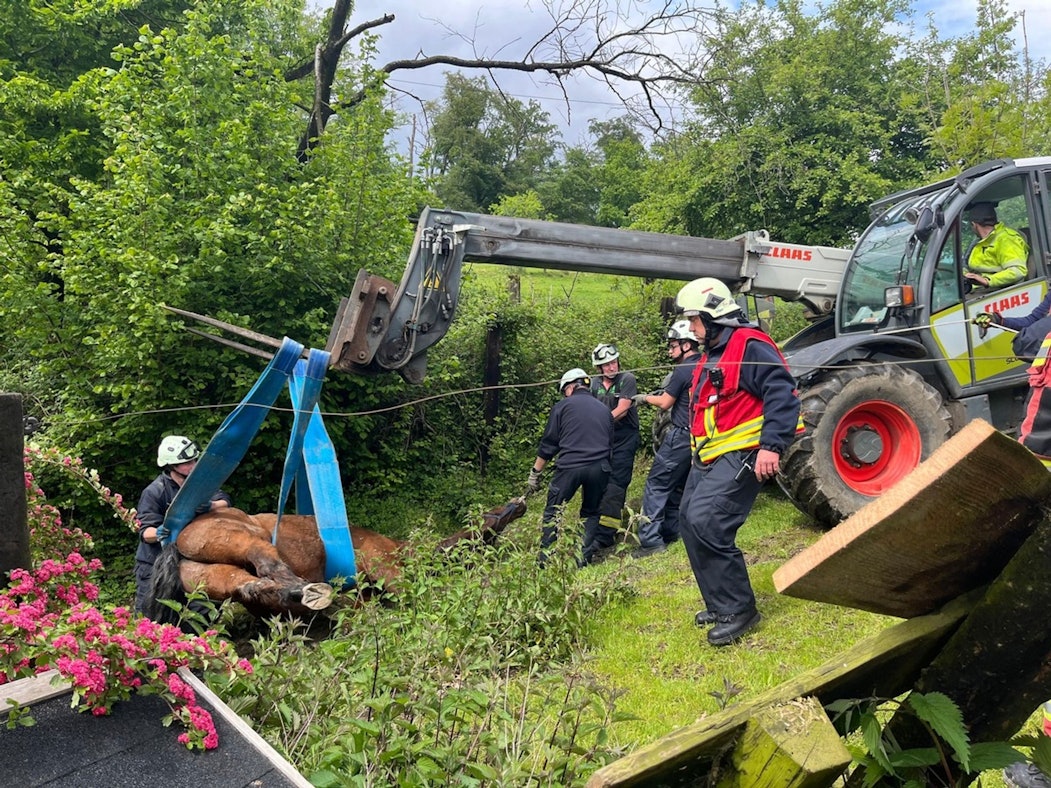 Feuerwehr befreit eingeklemmtes Pferd in Velbert