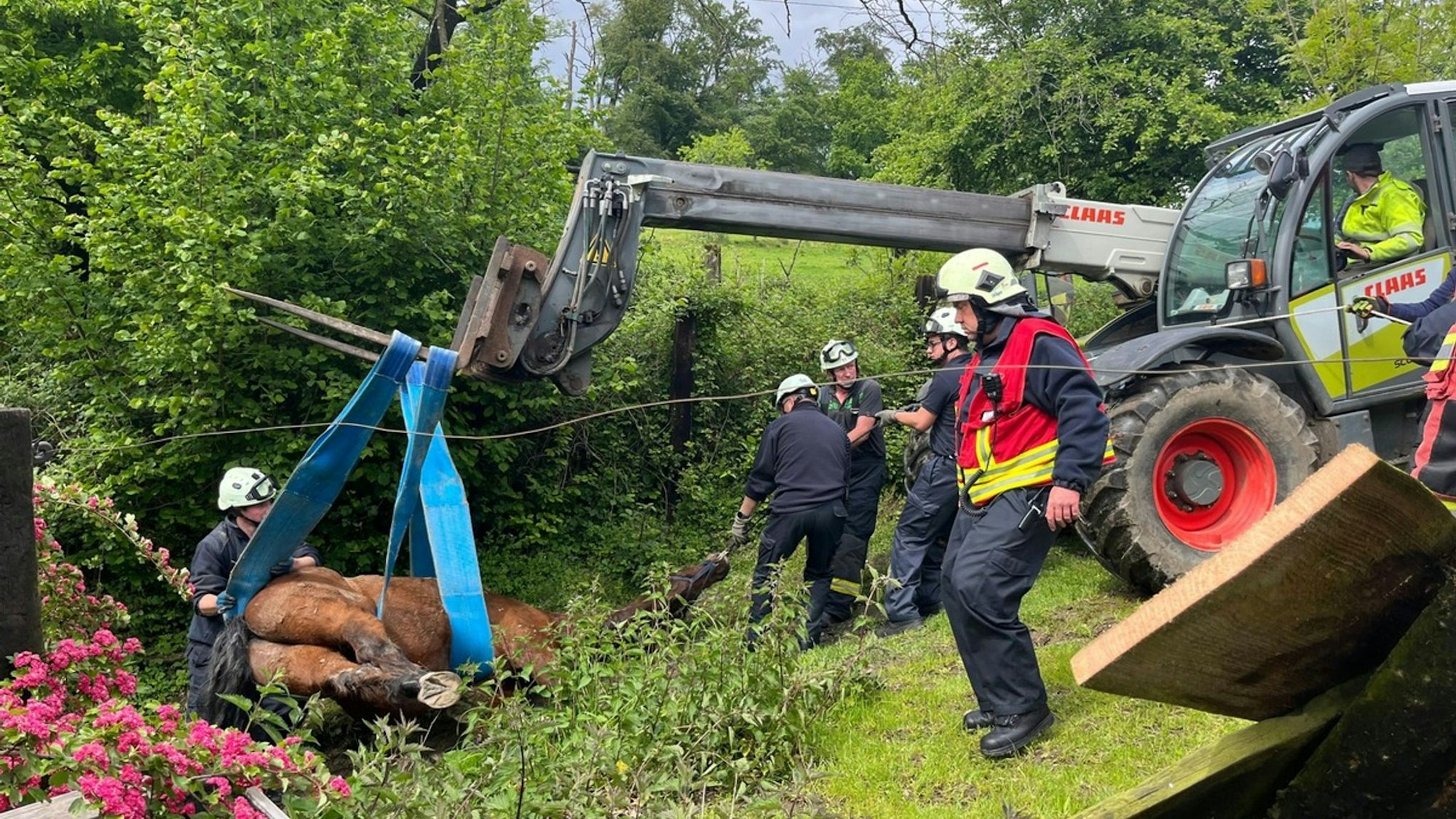 Feuerwehr befreit eingeklemmtes Pferd in Velbert
