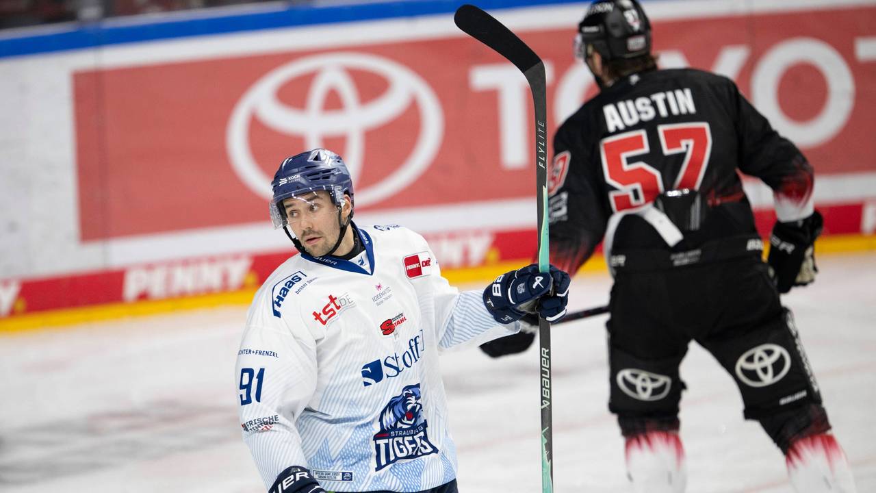 Tim Fleischer (Straubing Tigers) wechselt zu den Kölner Haien.