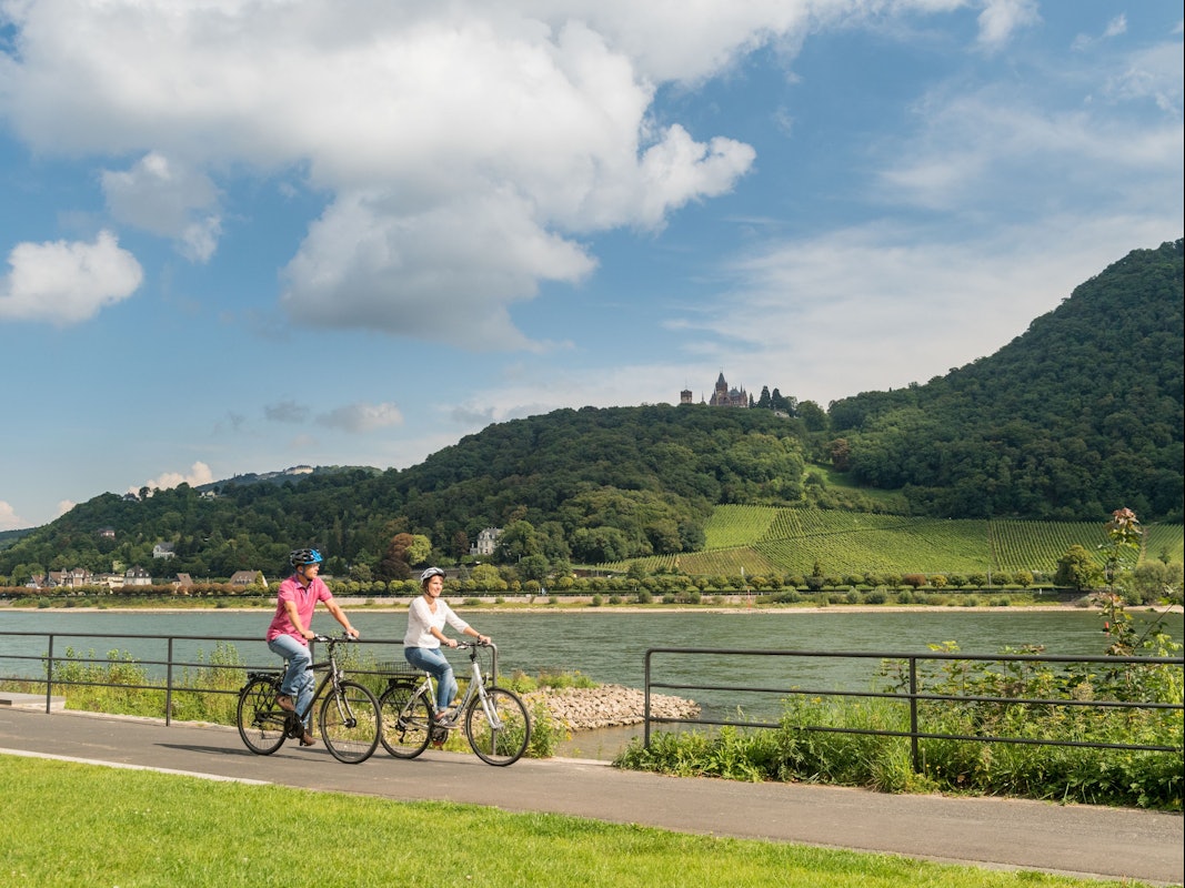 Rheinradweg bei Bonn-Mehlem, im Hintergrund Schloss Drachenburg