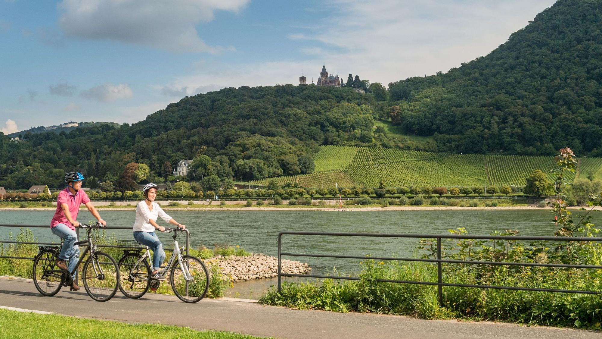 Rheinradweg bei Bonn-Mehlem, im Hintergrund Schloss Drachenburg