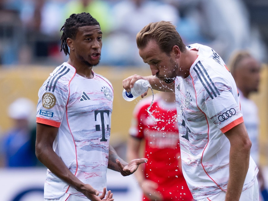 Michael Olise (l) und Harry Kane