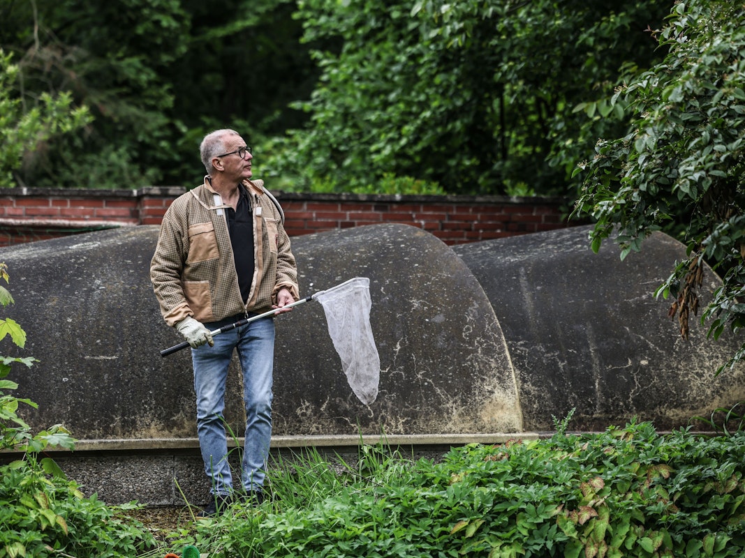 Ralf Atzorn, Vorsitzender des Kölner Imkerverbands, steht mit einem Kescher in einem Garten. Atzorn beseitigt Nester der Asiatischen Hornisse.