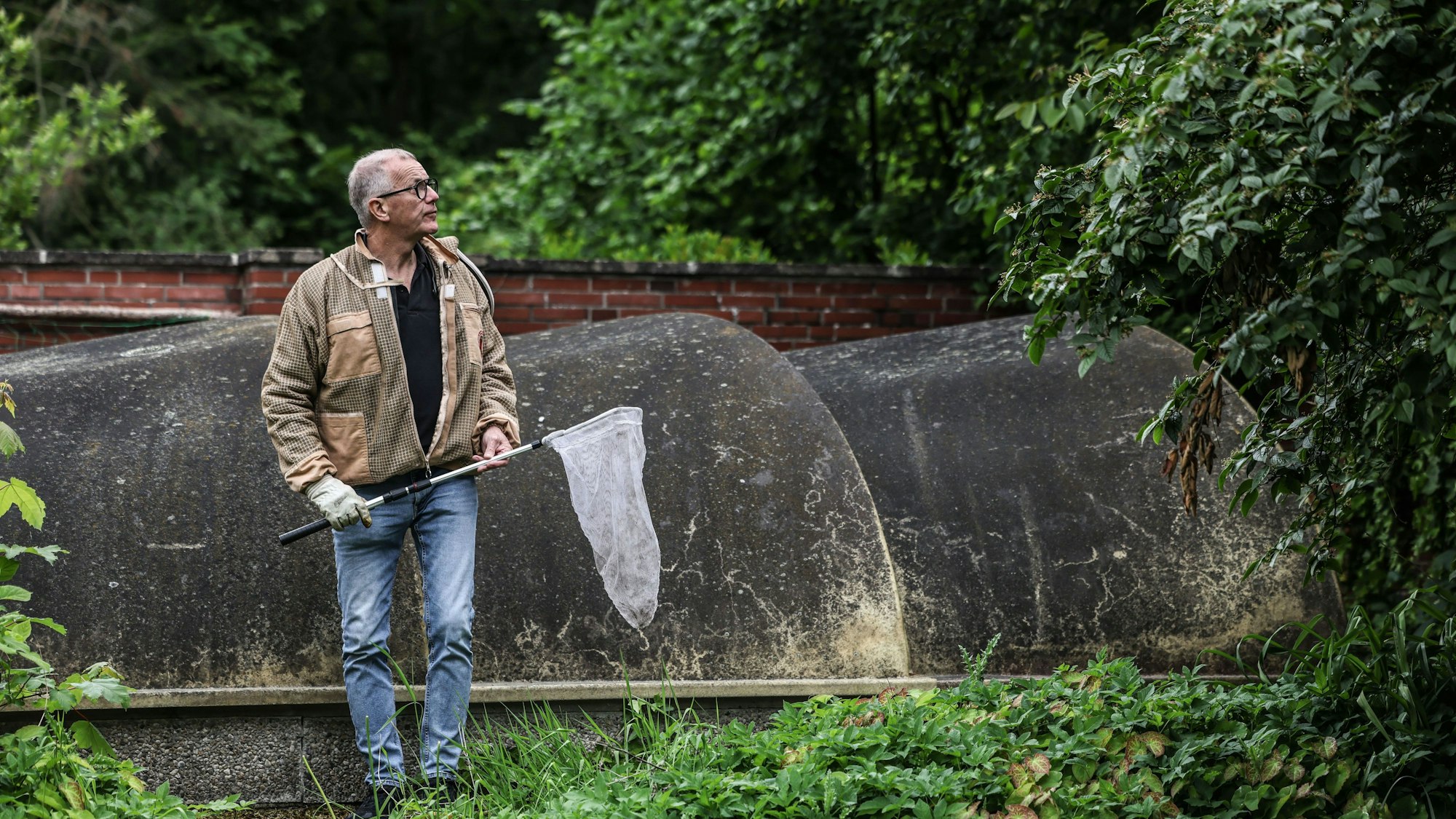 Ralf Atzorn, Vorsitzender des Kölner Imkerverbands, steht mit einem Kescher in einem Garten. Atzorn beseitigt Nester der Asiatischen Hornisse.