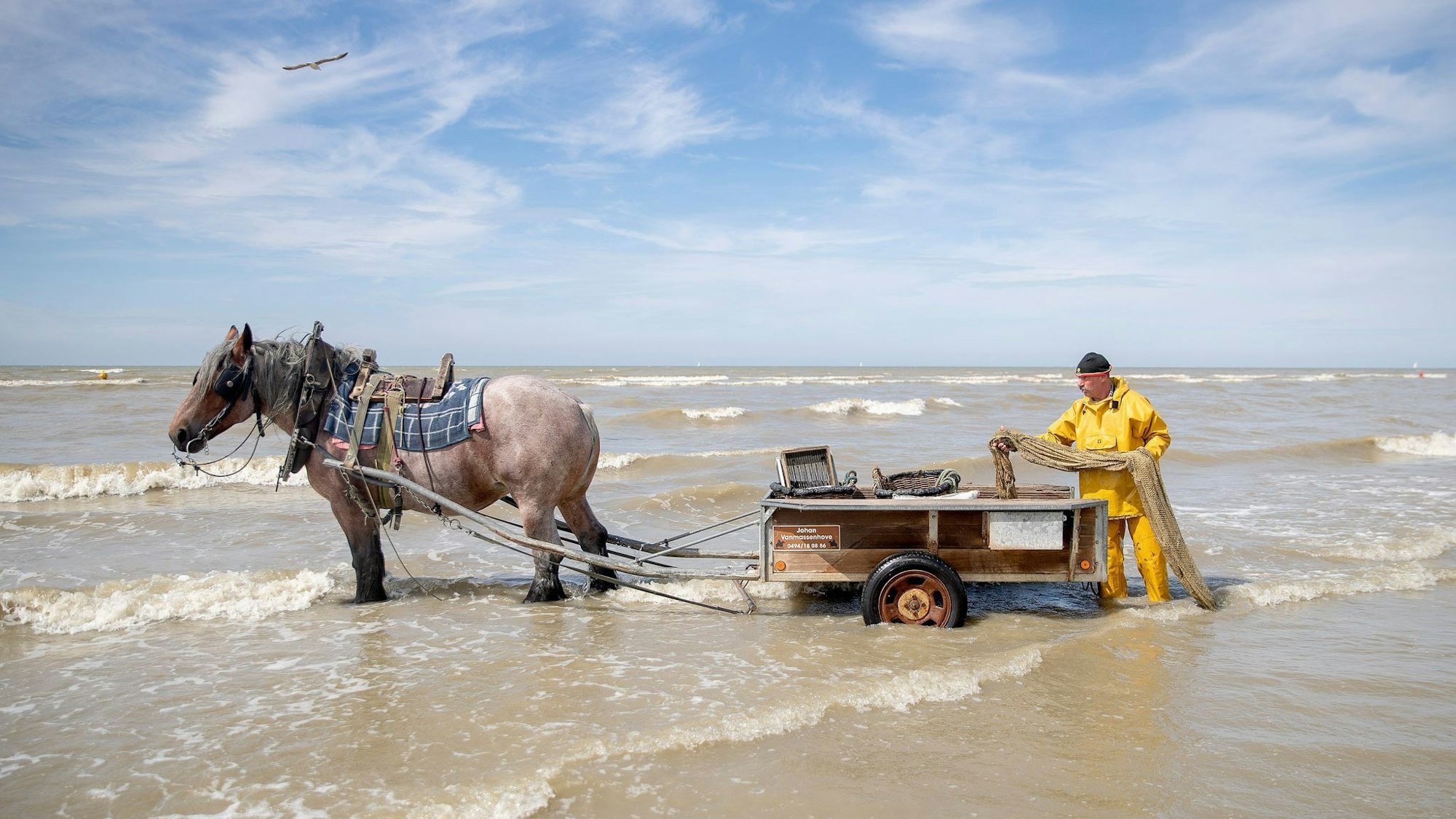 Krabbenfischer mit Pferd in Oostduinkerke