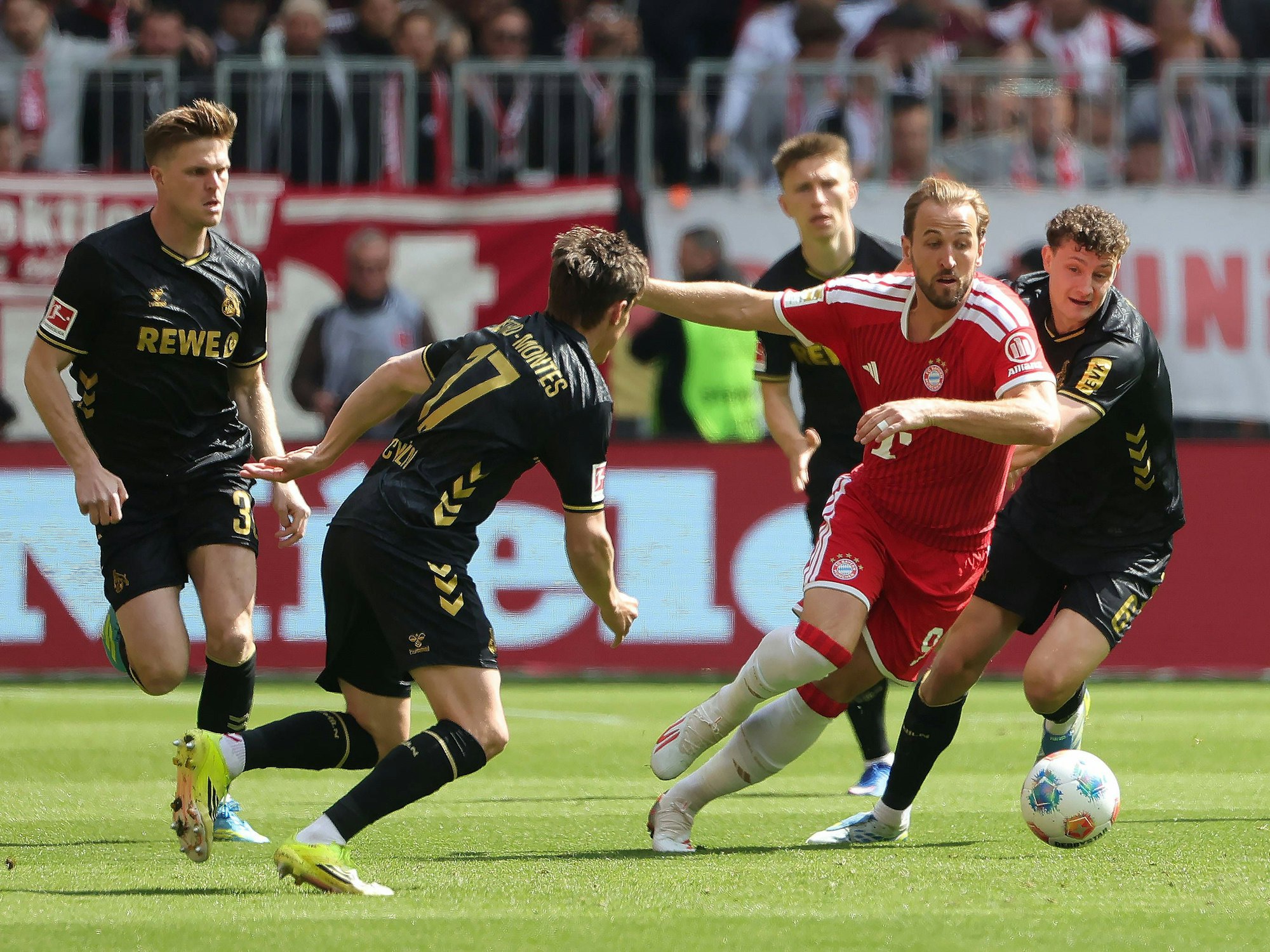Eric Martel im Zweikampf mit Harry Kane.