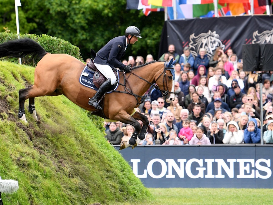 Deutsches Spring- und Dressur Derby