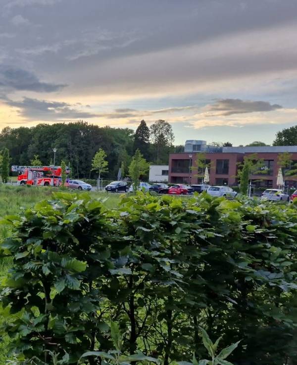 Krankenwagen und Feuerwehrwagen in einer grünen Landschaft