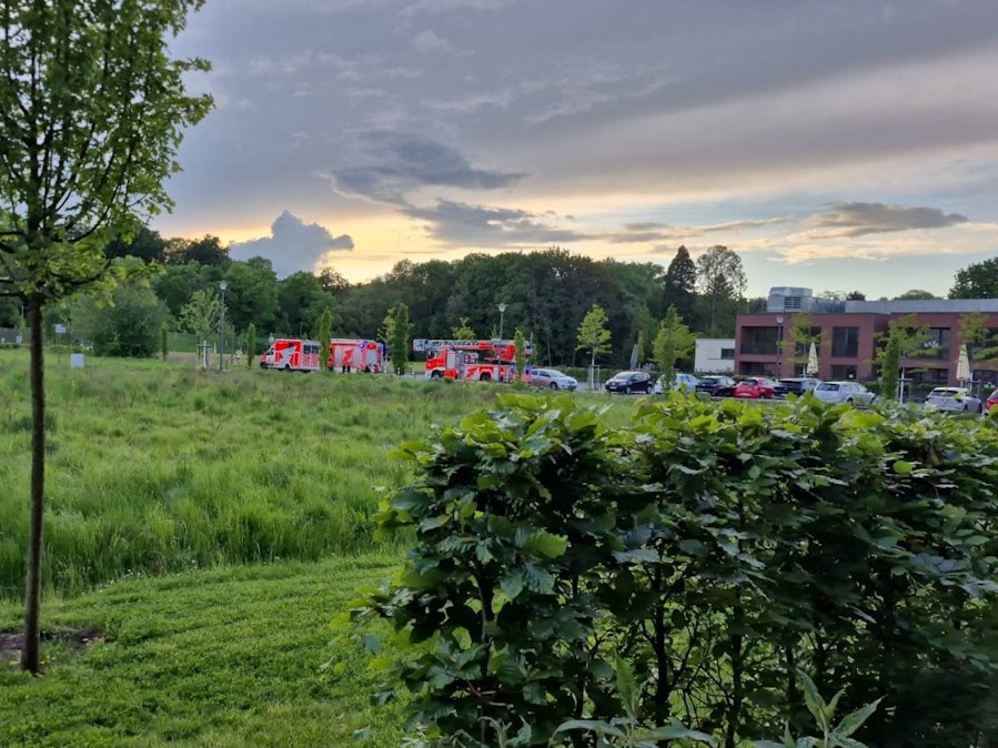 Krankenwagen und Feuerwehrwagen in einer grünen Landschaft