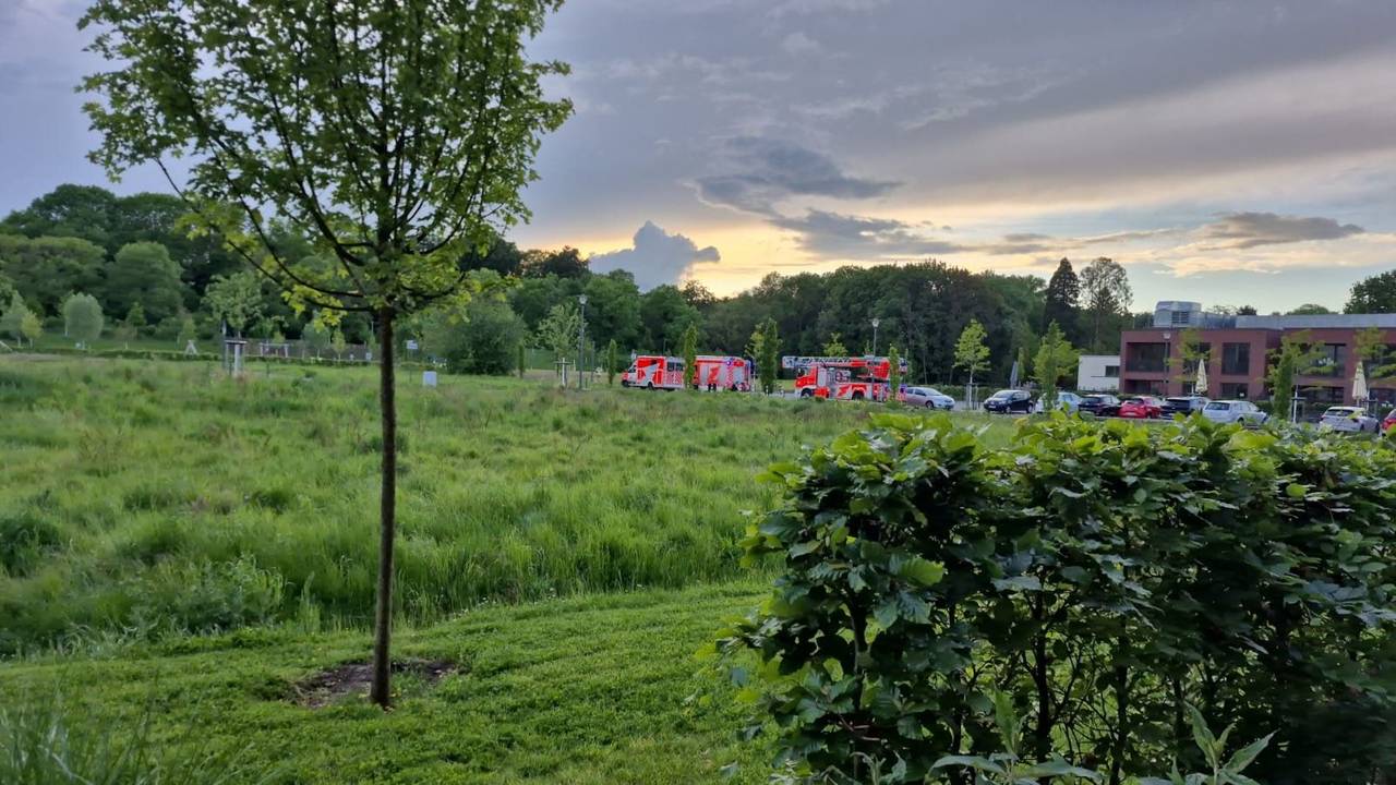 Krankenwagen und Feuerwehrwagen in einer grünen Landschaft