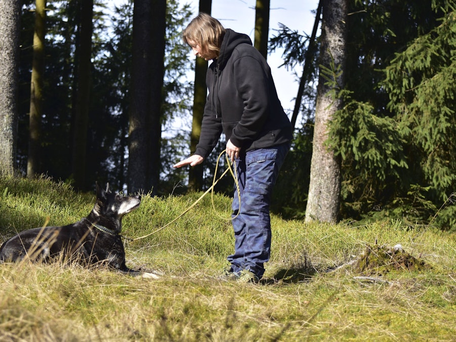 Frau und Hund im Wald