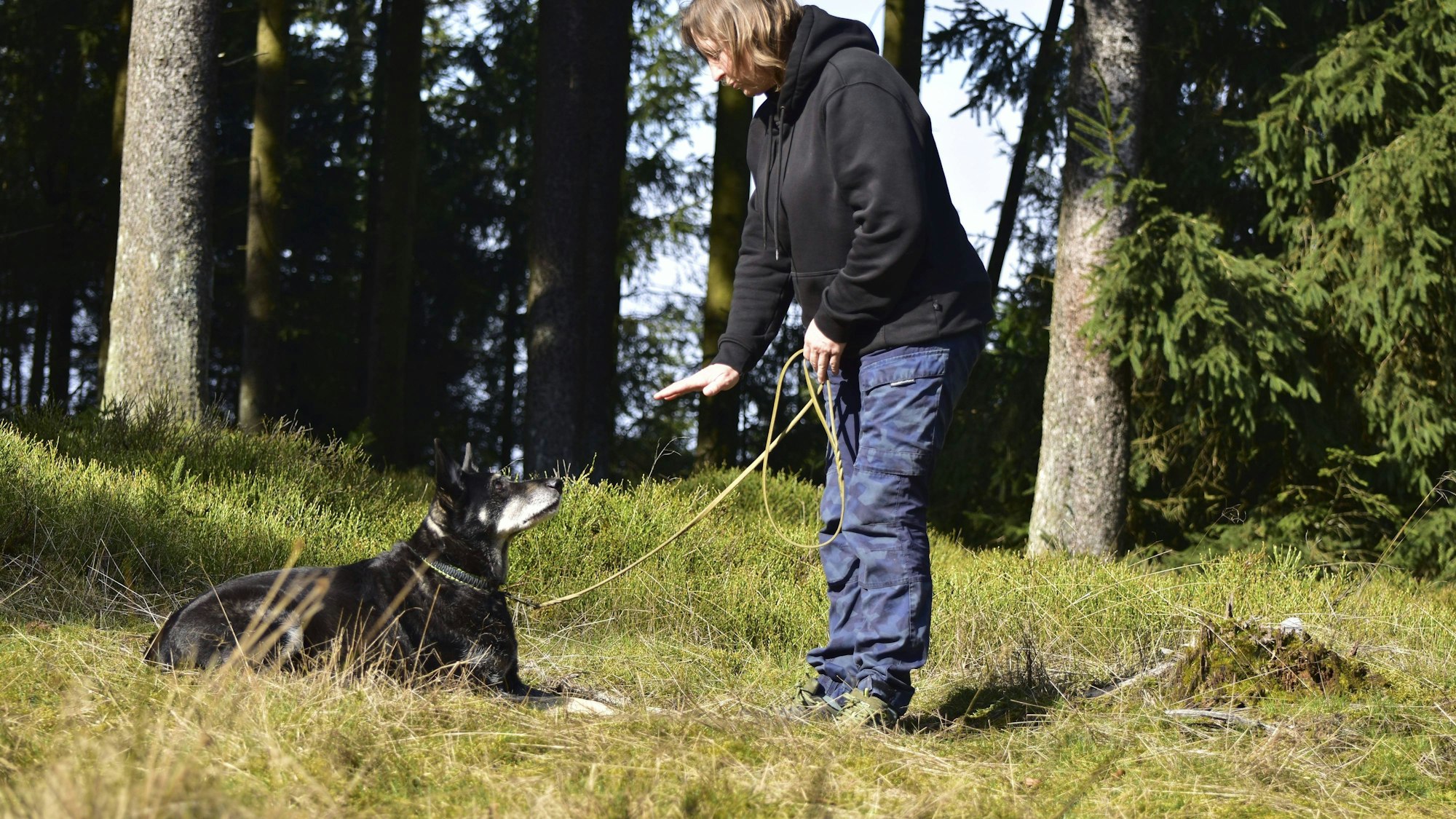 Frau und Hund im Wald