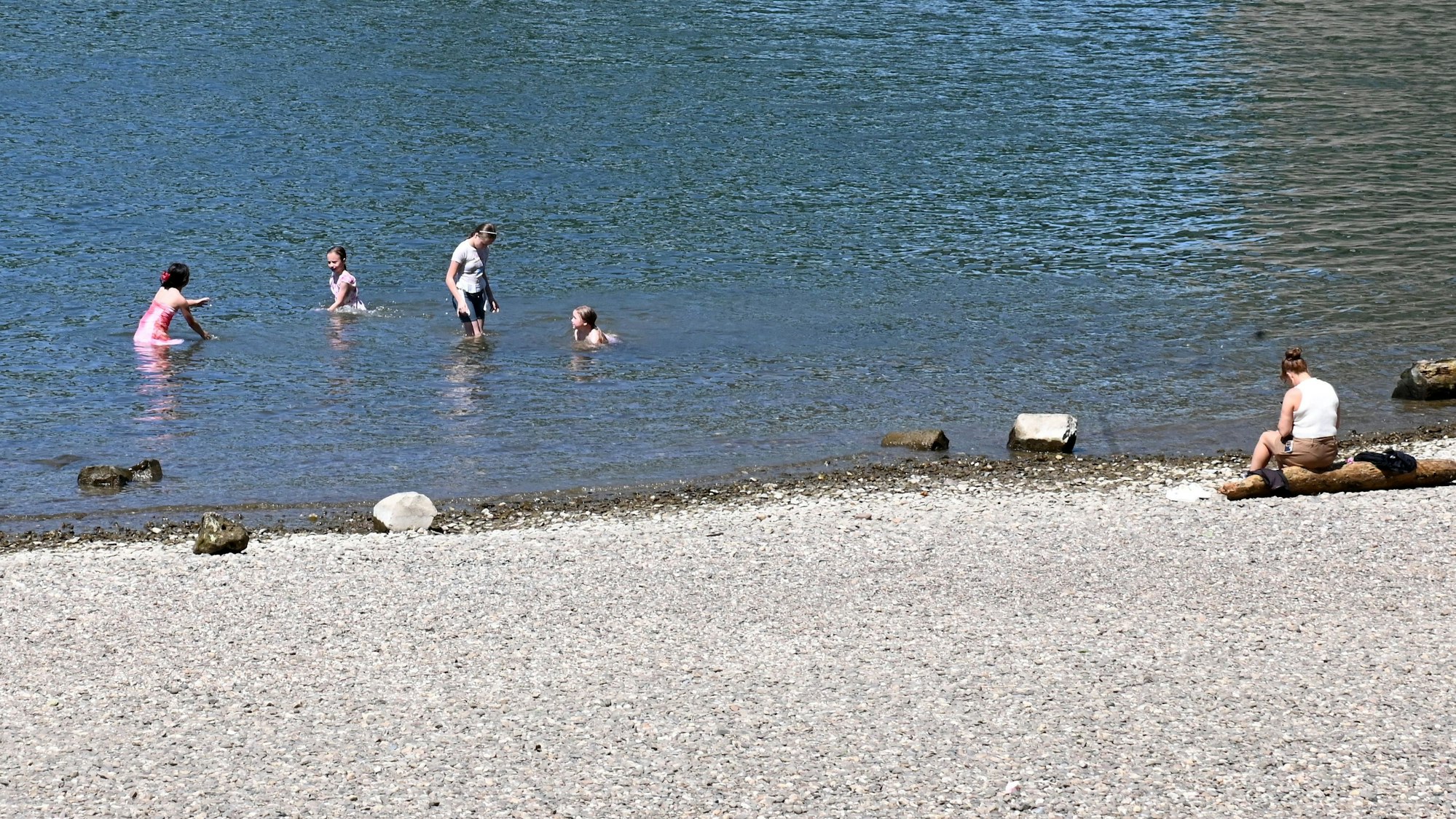 Badeverbotsschild im Rheinpark. Trotzdem sind immer wieder Kinder im Wasser zu sehen.