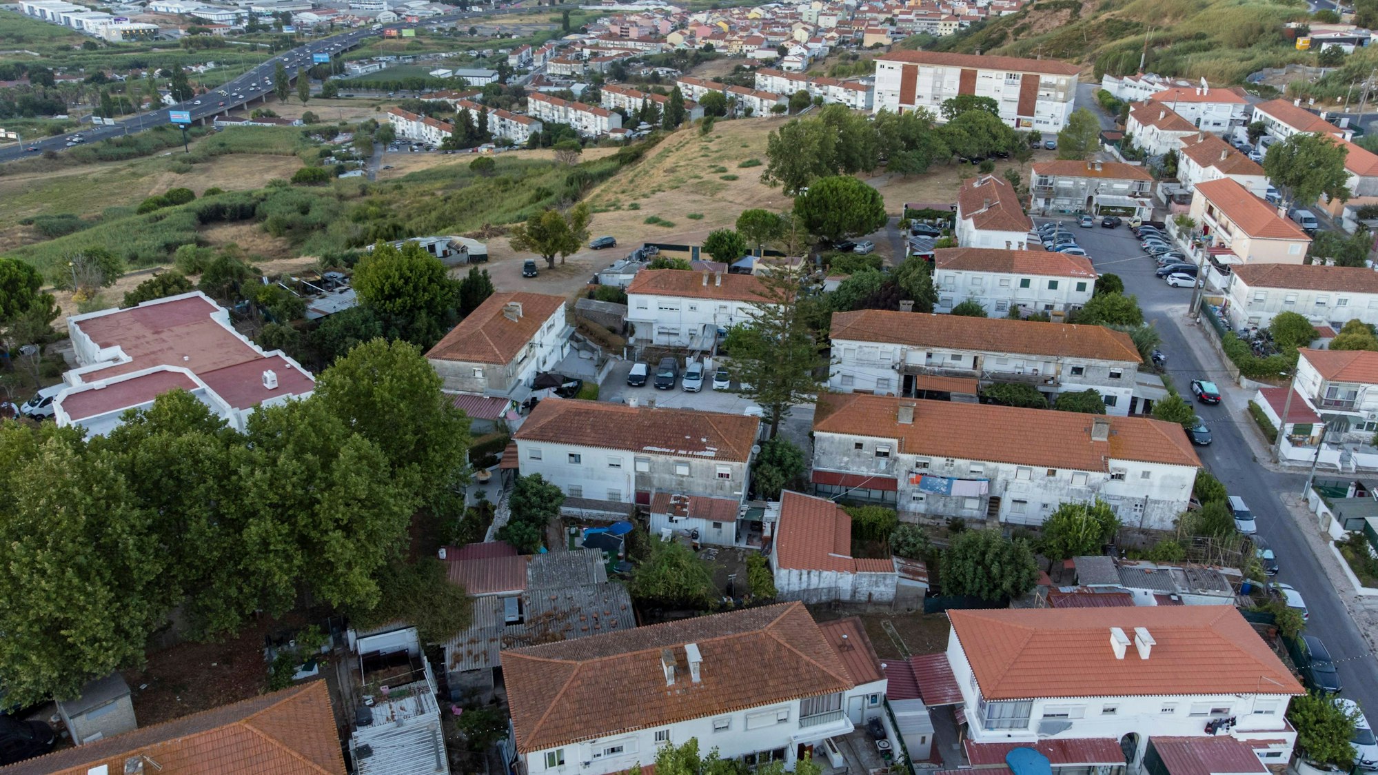 Stadtgebiet mit Bäumen und Häusern