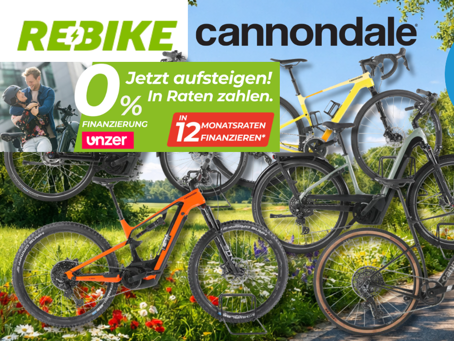 Eine Darstellung von 5 verschiedenen Cannondale E-Bikes vor einem Fahrradweg.