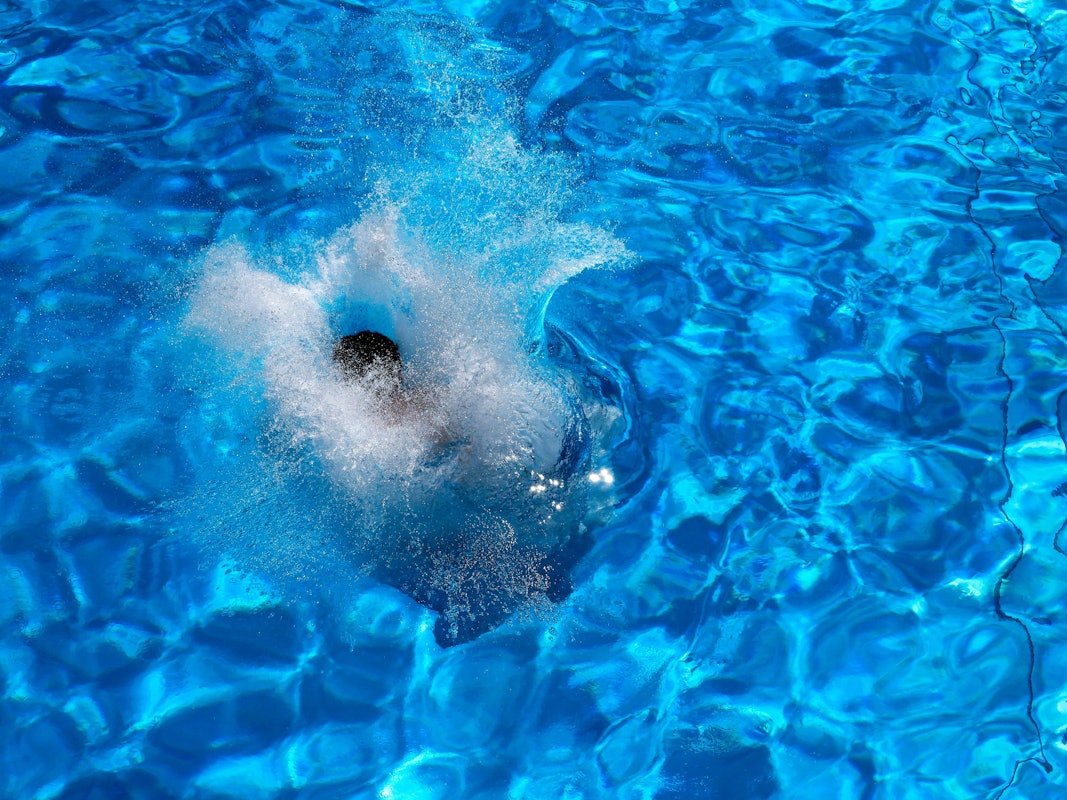 Ungebetene Badegäste im Pulheimer Freibad.