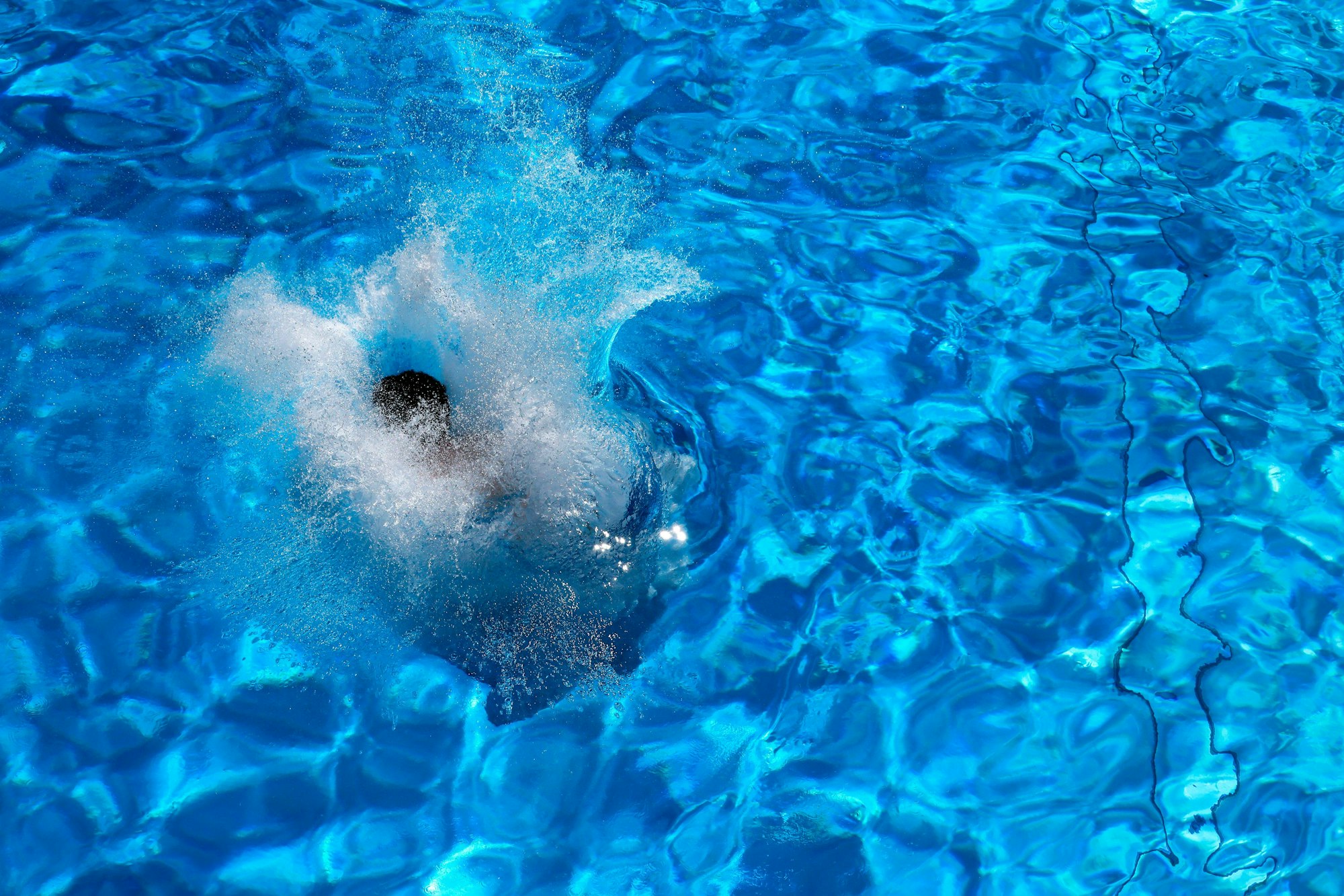 Ungebetene Badegäste im Pulheimer Freibad.