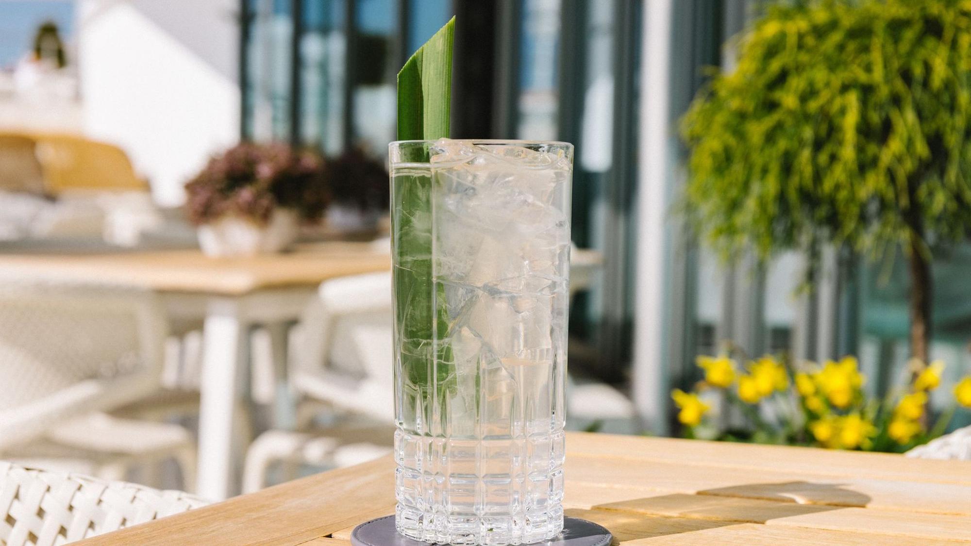 Coconut Water Cooler