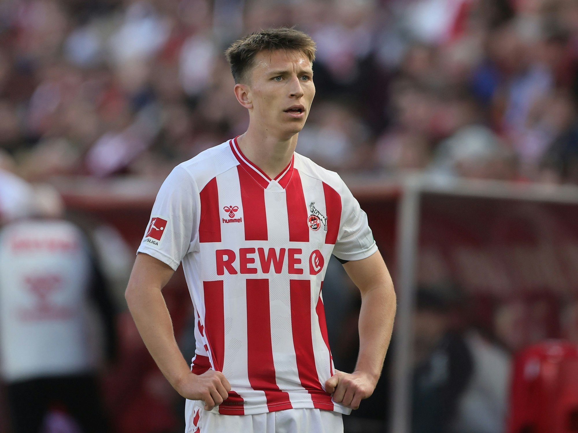 Linksverteidiger Kristoffer Lund im Trikot des 1. FC Köln