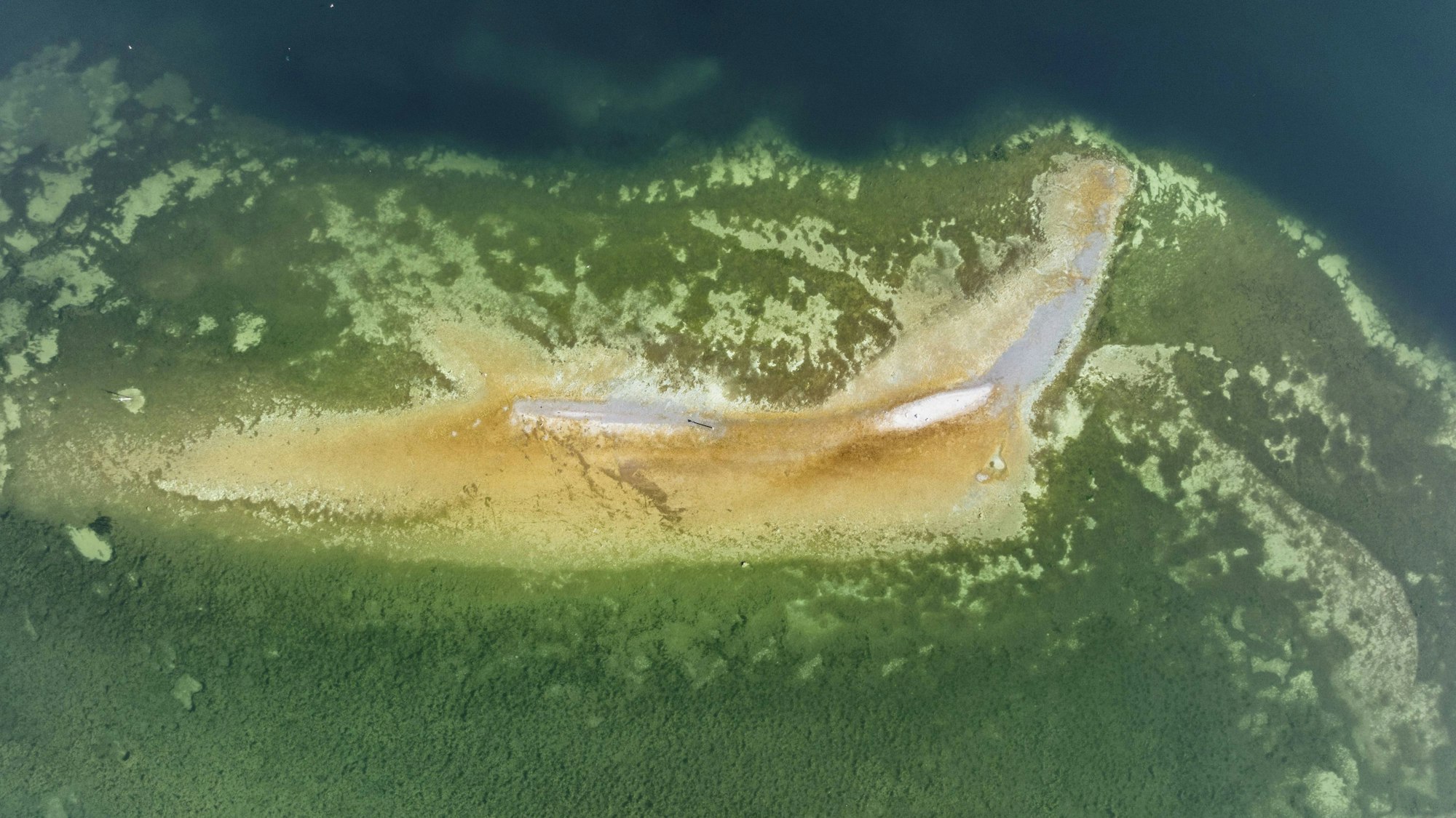 Untiefe mit Unterwasserpflanzen im Gewässer