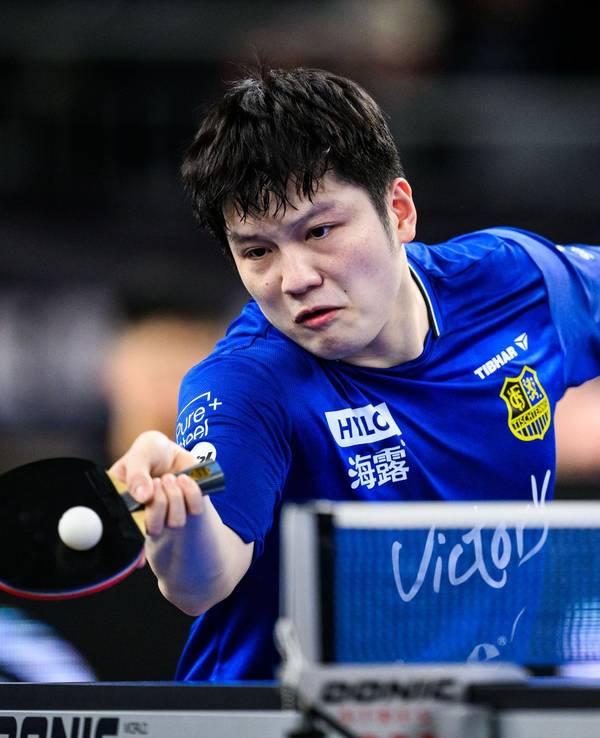 Fan Zhendong