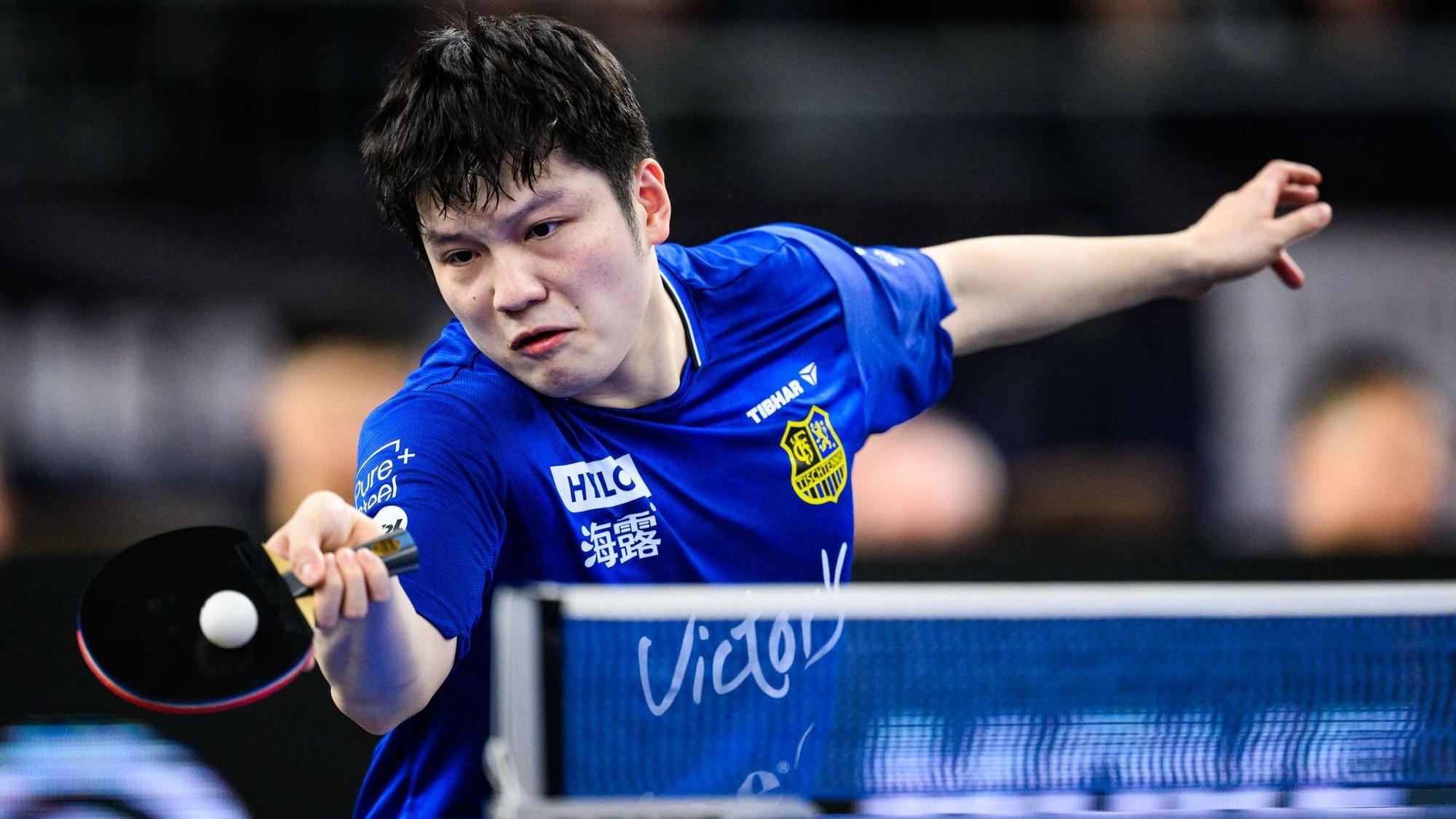 Fan Zhendong