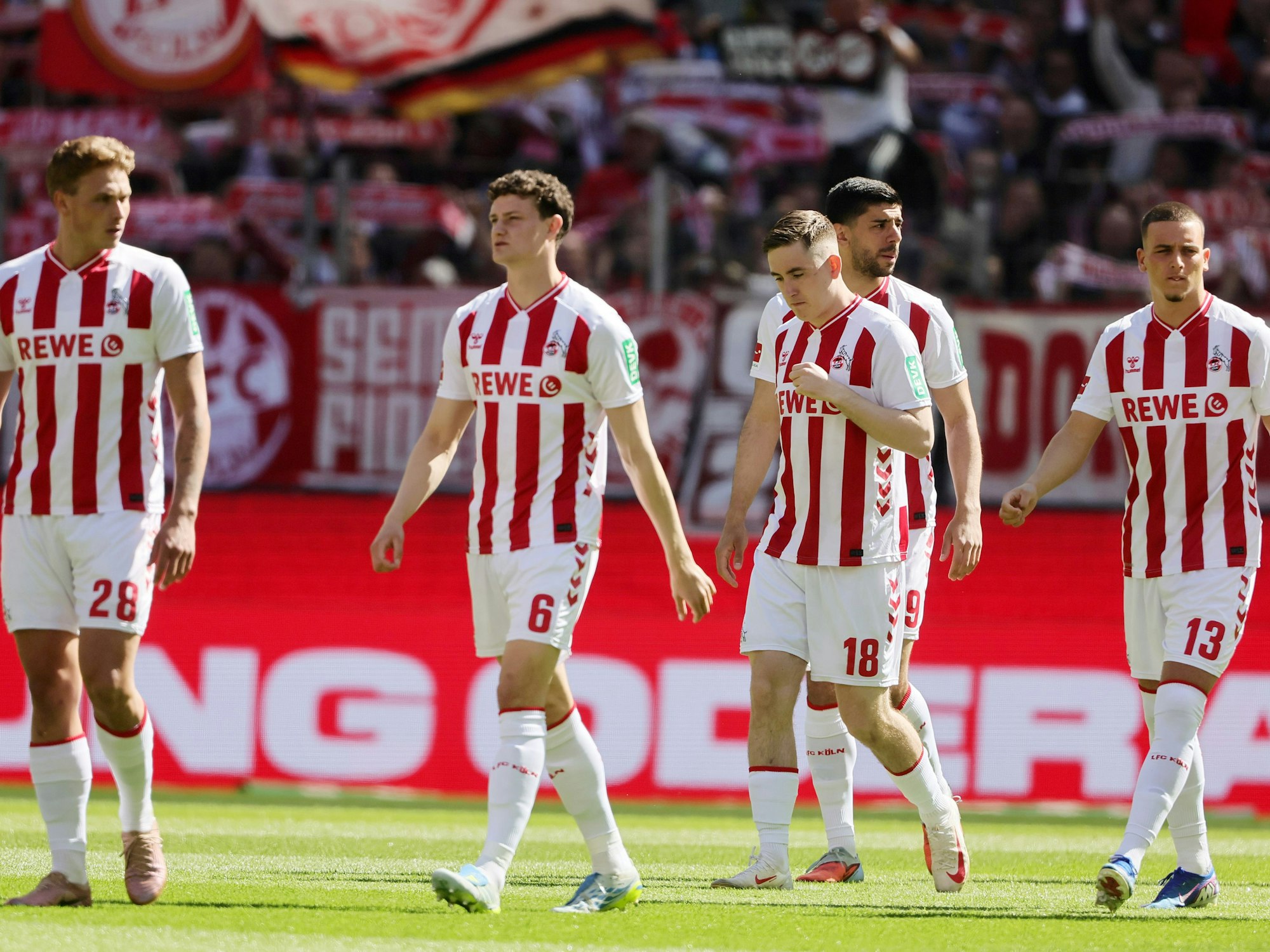 Die Profis des 1. FC Köln auf dem Platz.