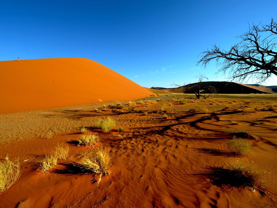 Person auf Düne in Wüstenlandschaft unter blauem Himmel