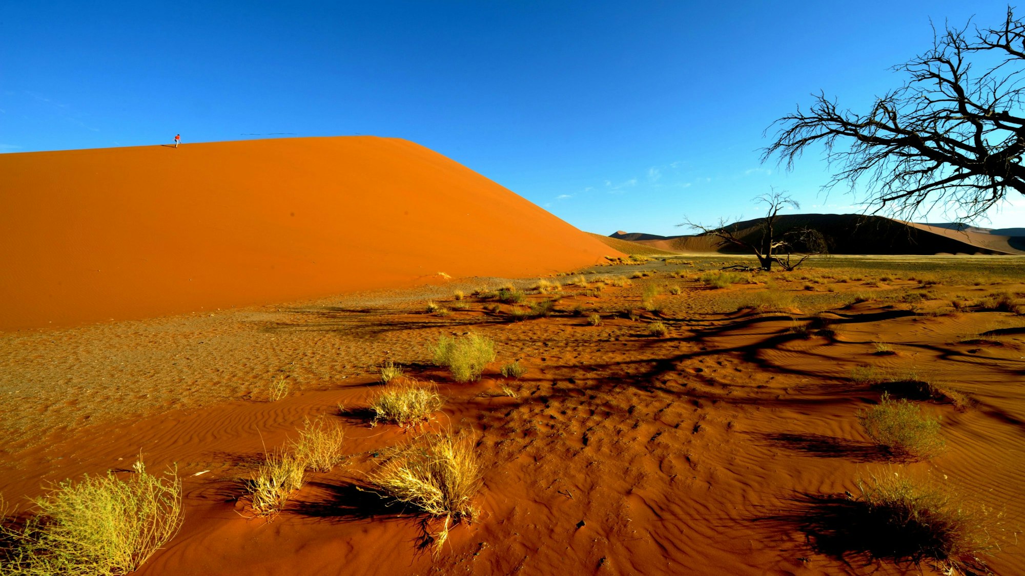 Person auf Düne in Wüstenlandschaft unter blauem Himmel
