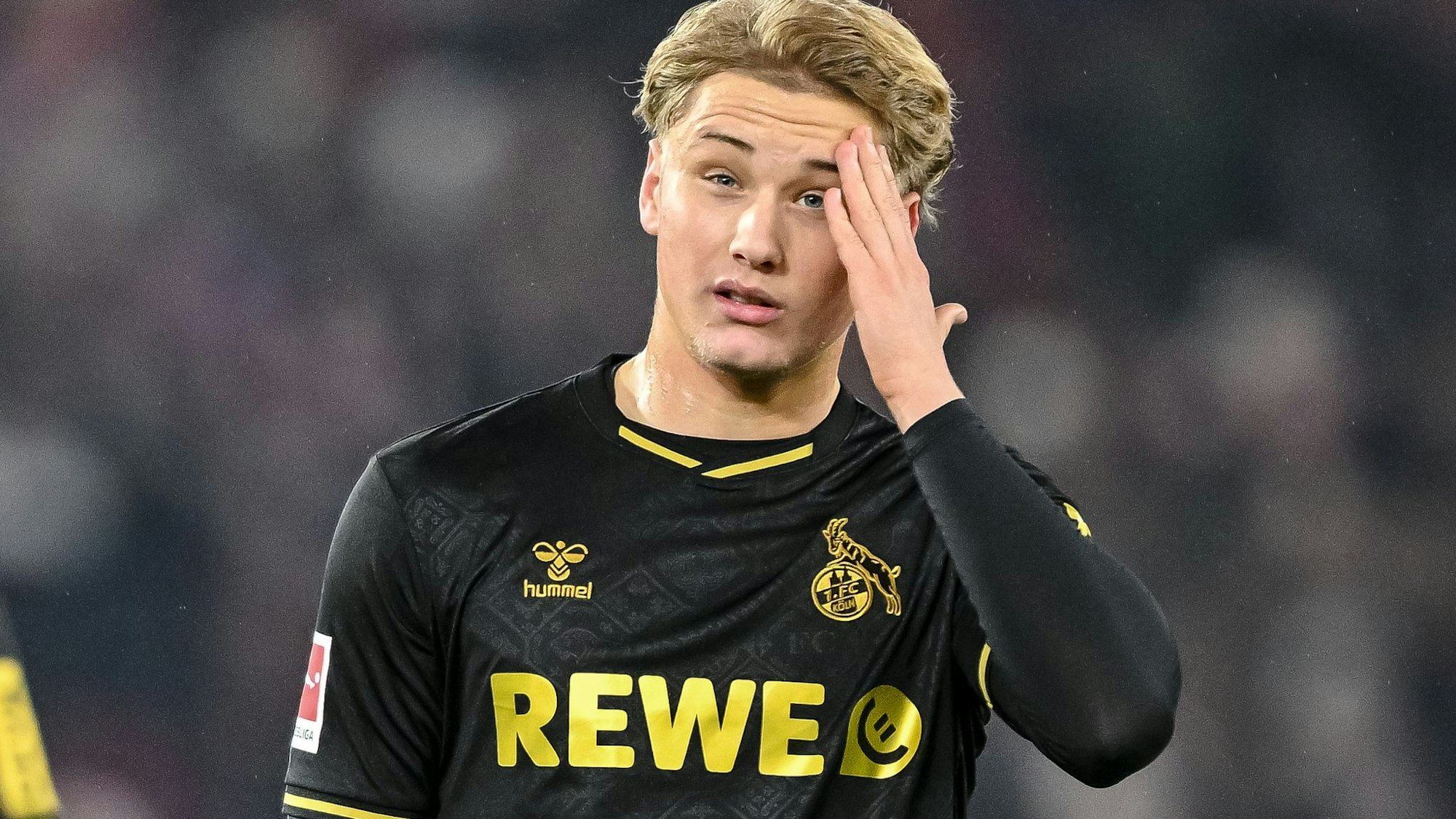 Finn Schenten