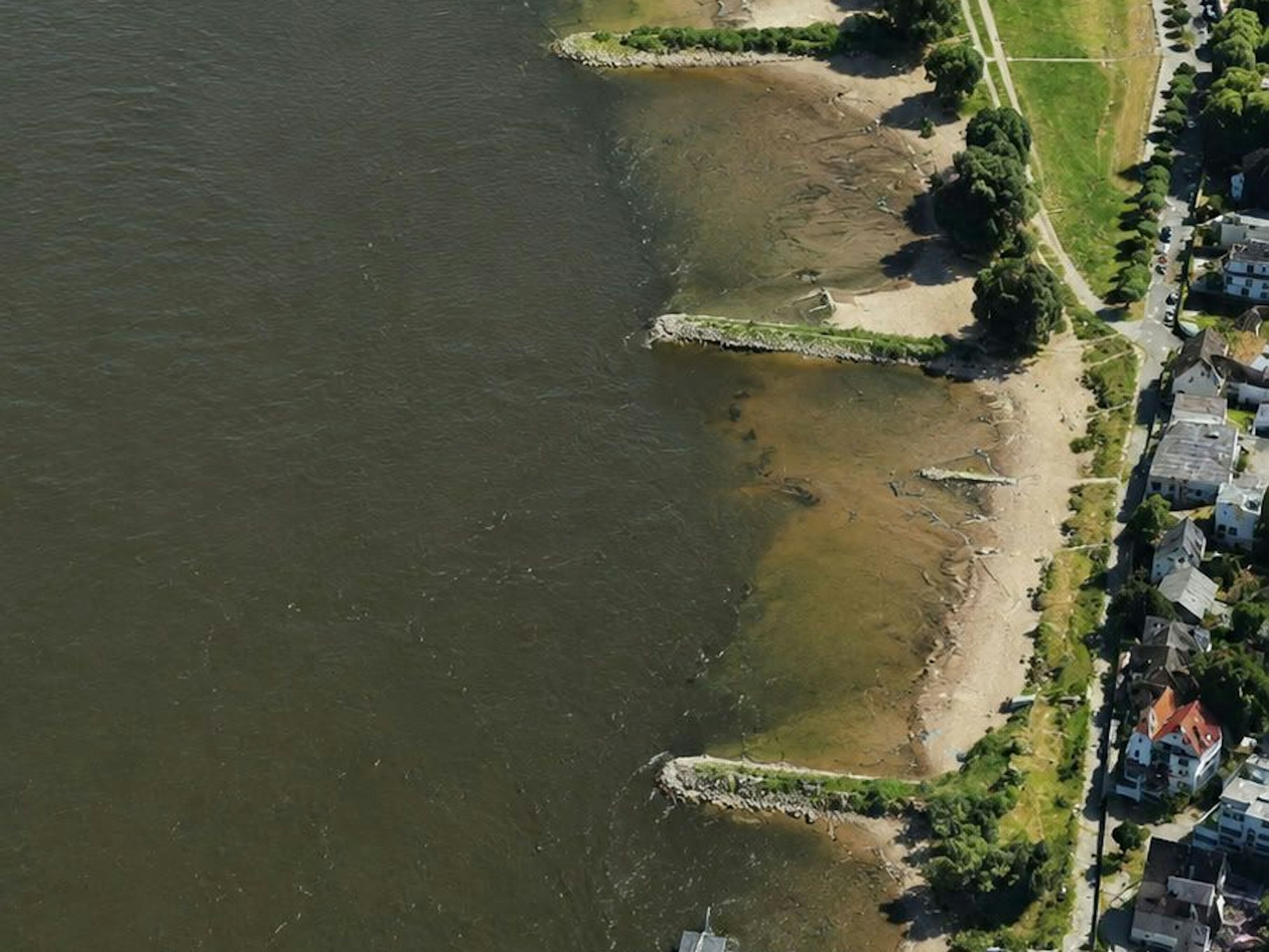 So sieht die Rodenkirchener Riviera aktuell aus.