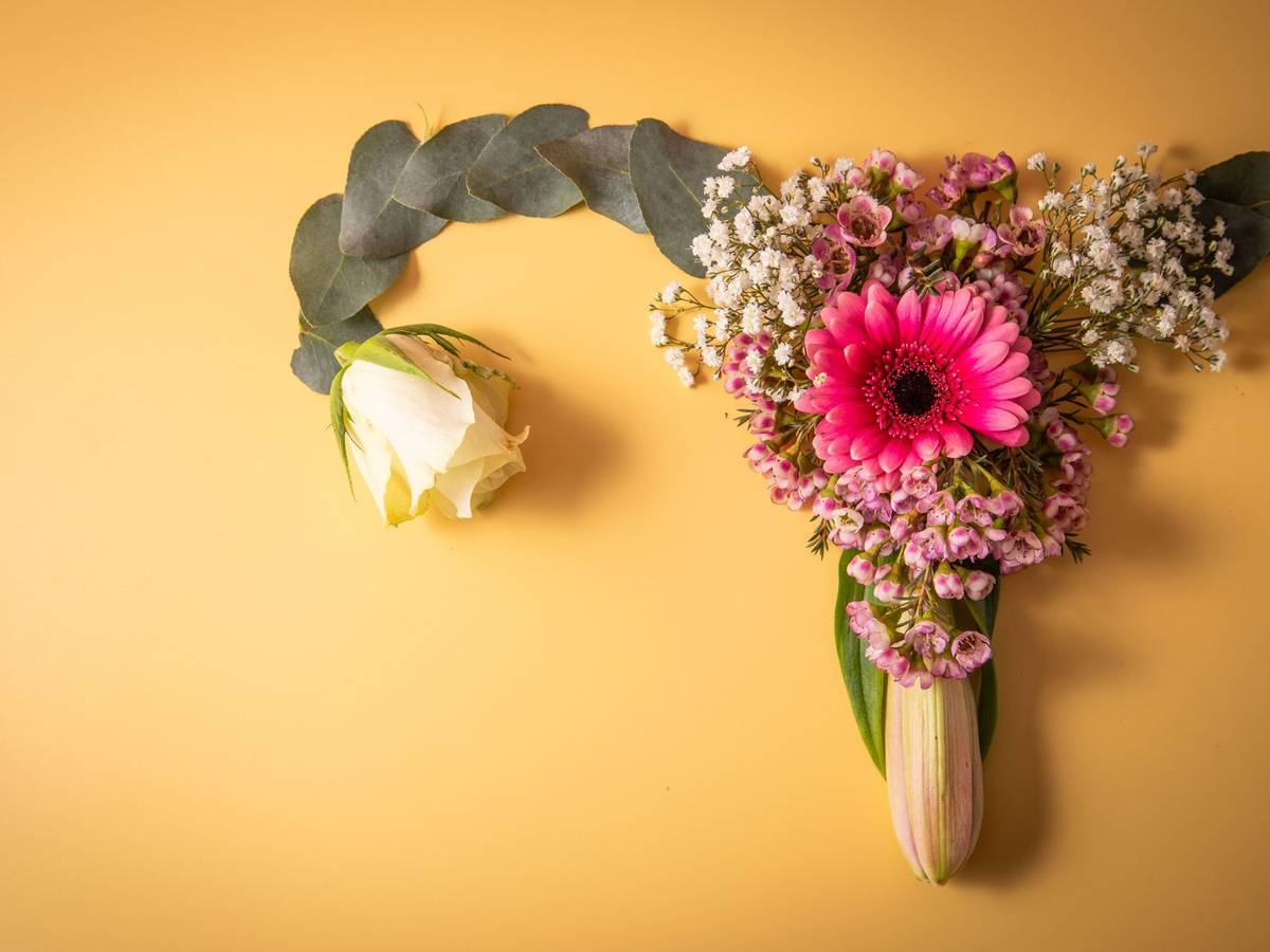 Weibliches Reproduktionssystem aus Blumen