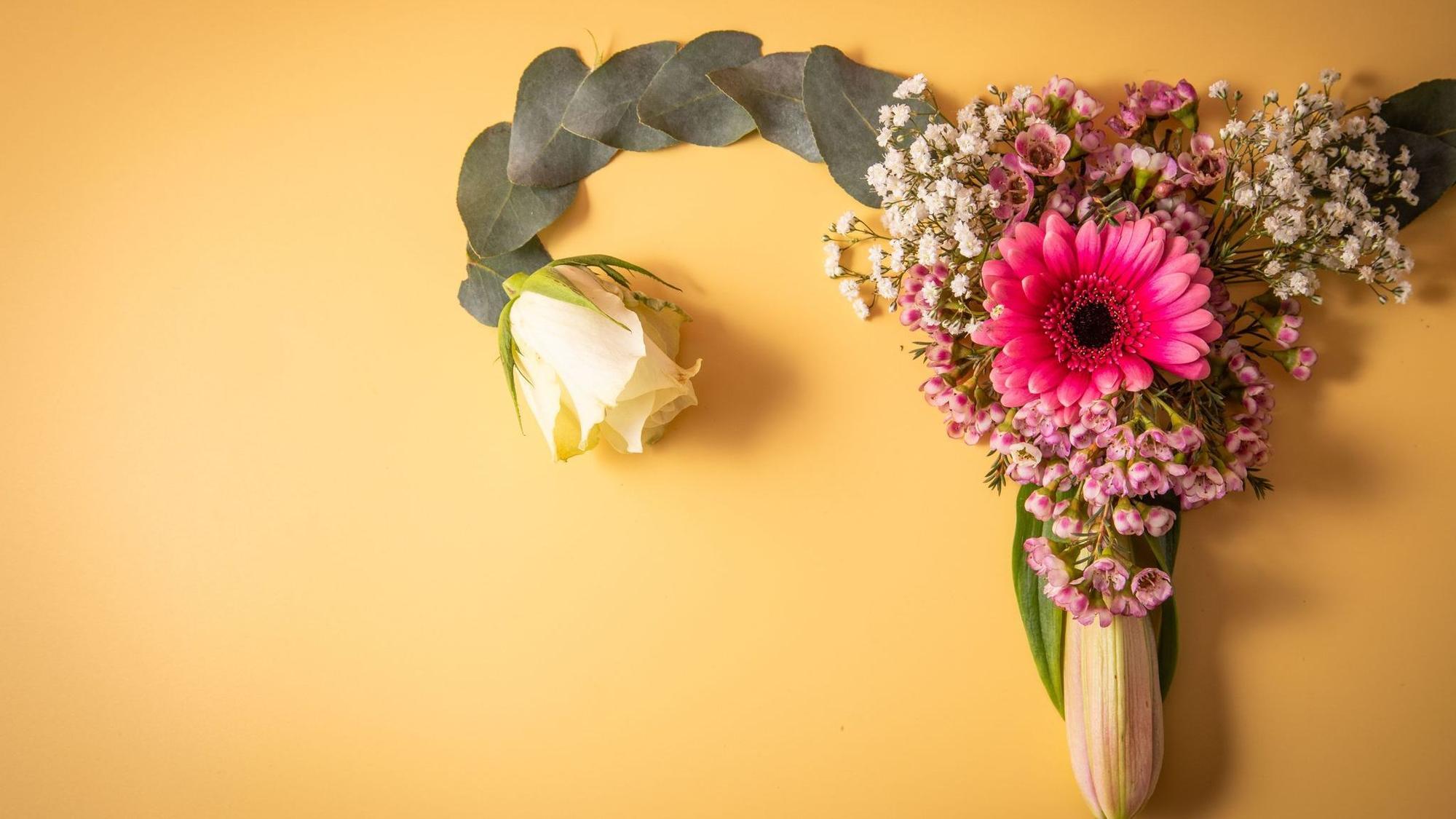 Weibliches Reproduktionssystem aus Blumen