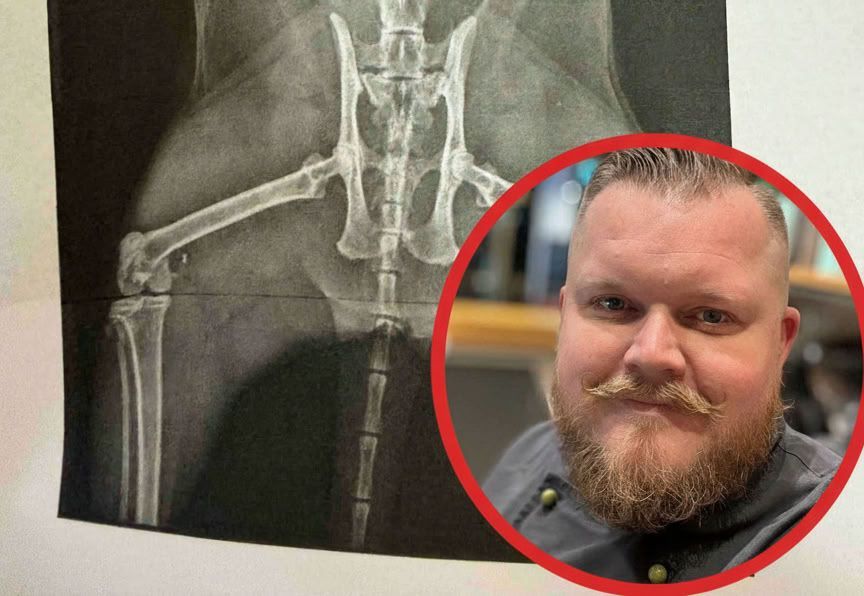 Das Röntgenbild zeigt die Verletzung der Katze – Besitzer Benjamin Kempen bangt um seine Lilo.