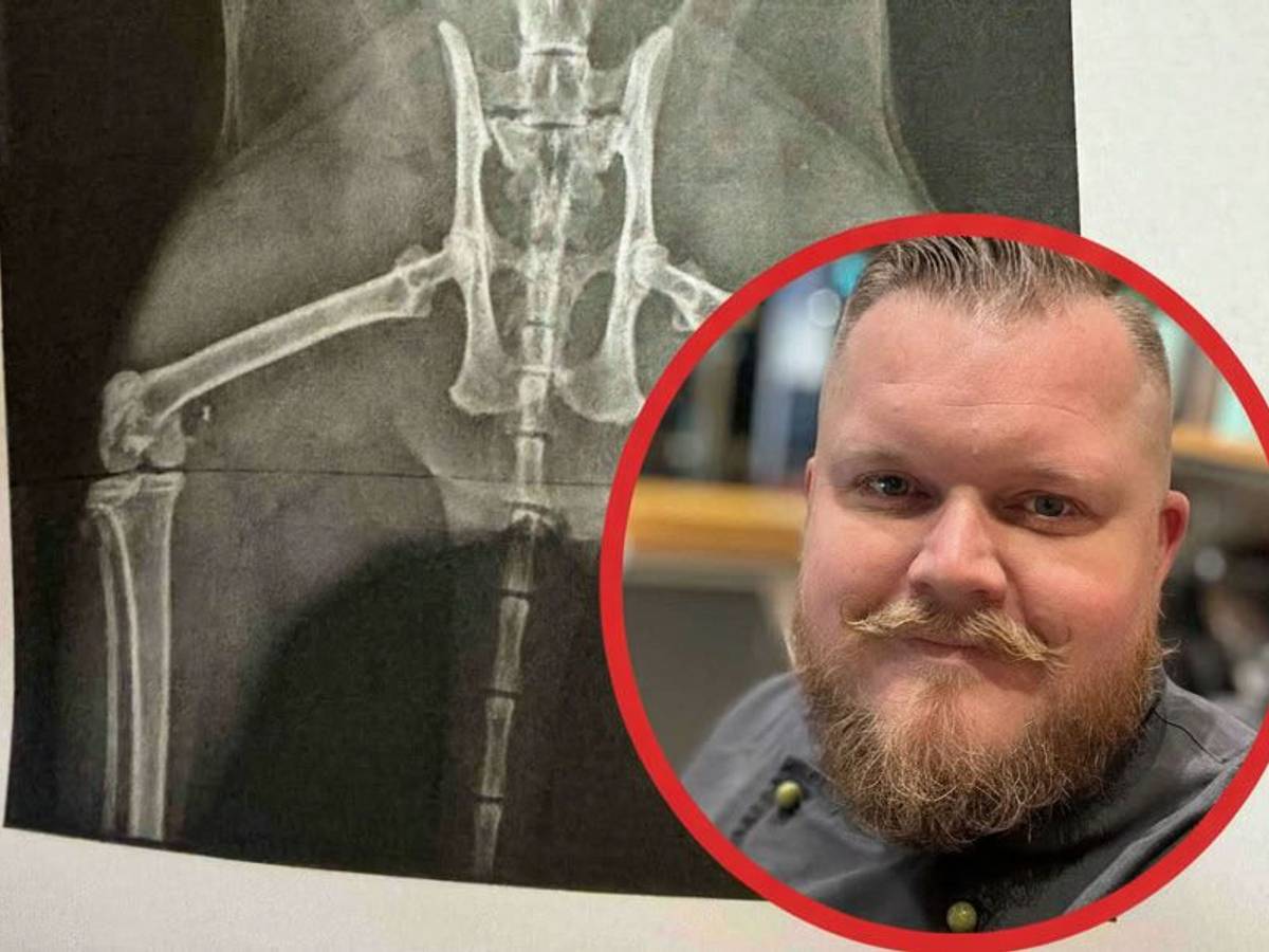 Das Röntgenbild zeigt die Verletzung der Katze – Besitzer Benjamin Kempen bangt um seine Lilo.