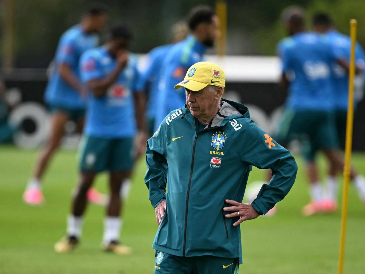 Nationaltrainer Carlo Ancelotti mit Spielern auf dem Rasen.