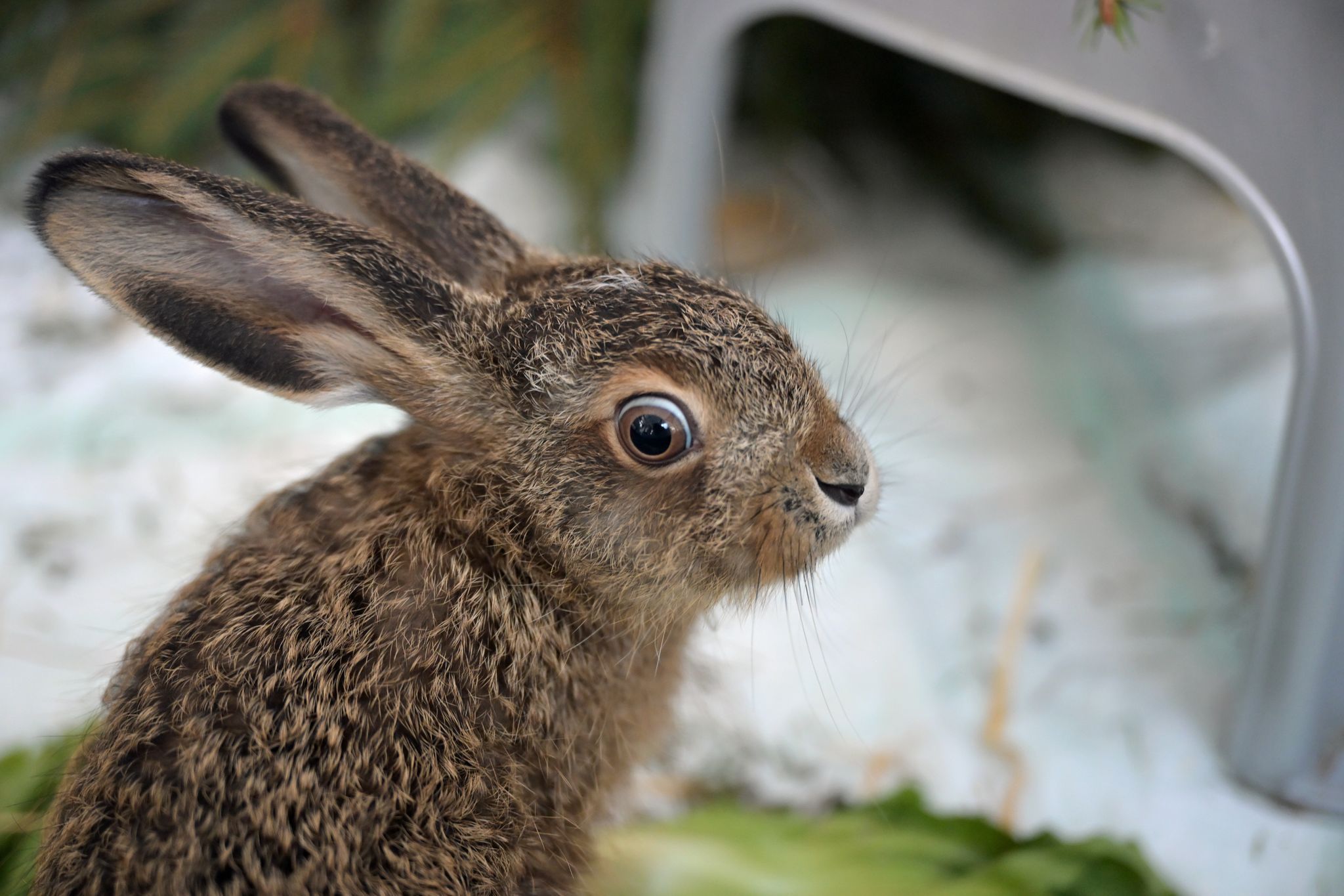 Besuch in einer Wildtier-Auffangstation