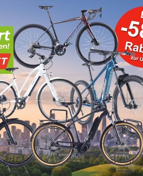 E-Bikes und Fahrräder verschiedener Marken – darunter E-Mountainbike, Trekking-E-Bike, City-Bikes vor einem abendlichen Himmel über einer Stadtsilhouette mit Waldrand.