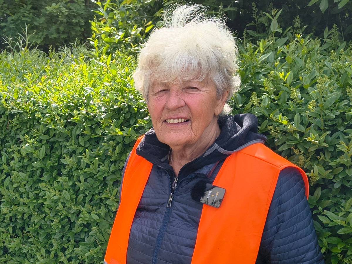 Heide Bergkammer (80) sammelt Müll im Waldviertel in Köln.