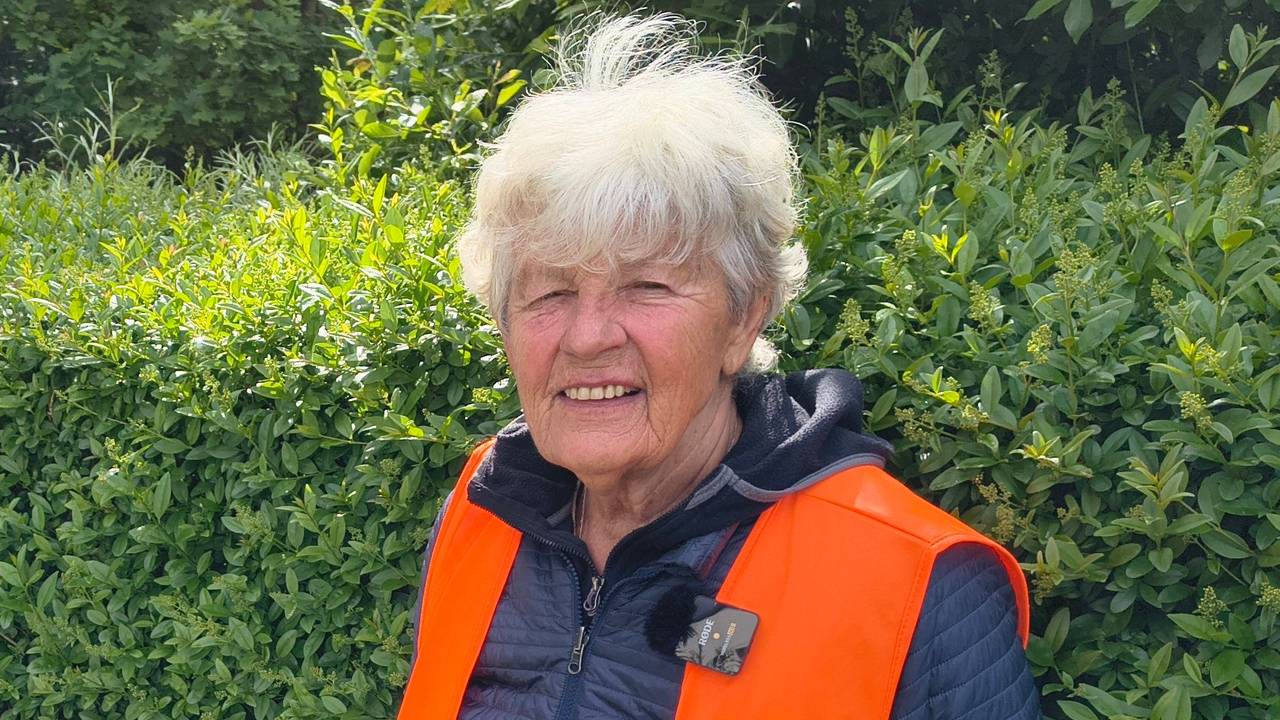 Heide Bergkammer (80) sammelt Müll im Waldviertel in Köln.