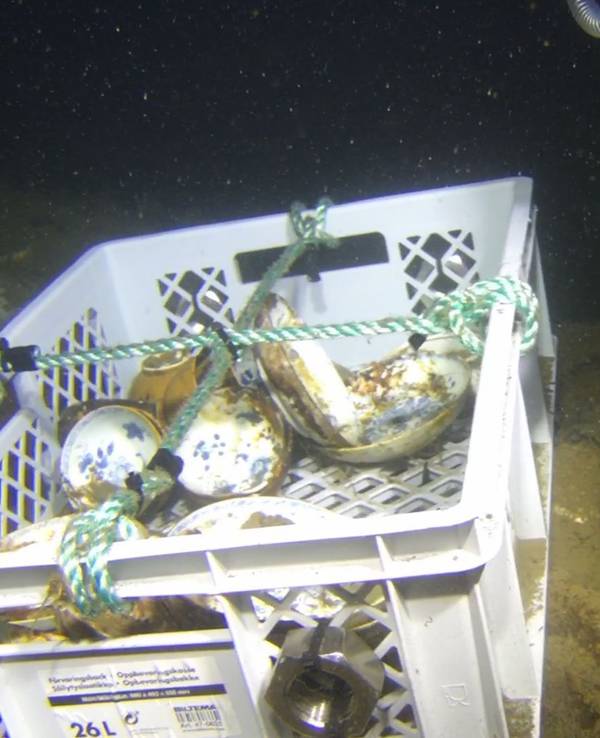 Porzellan von Schiffswrack in Norwegen