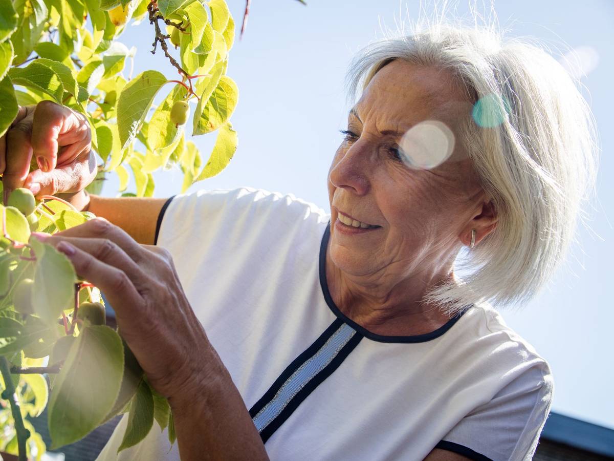 Eine Seniorin bei der Gartenarbeit