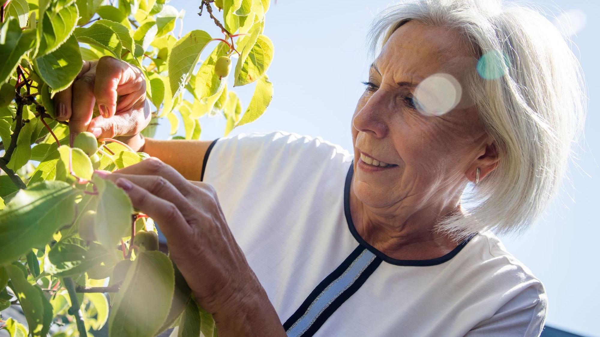 Eine Seniorin bei der Gartenarbeit