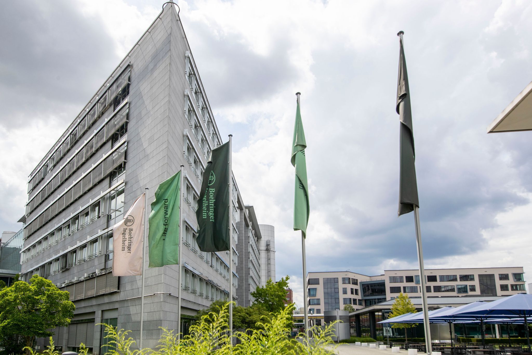 Boehringer Ingelheim