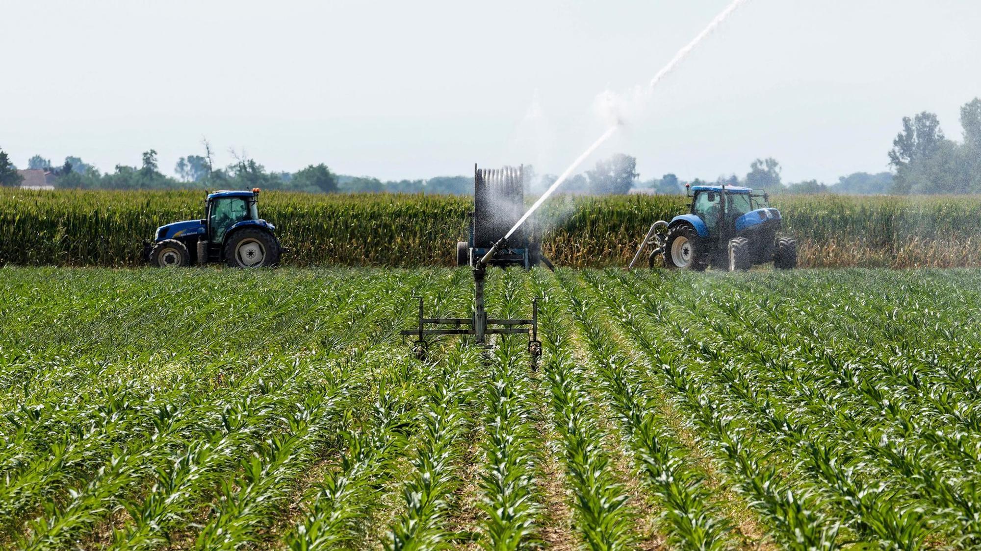 Landwirtschaft in Italien