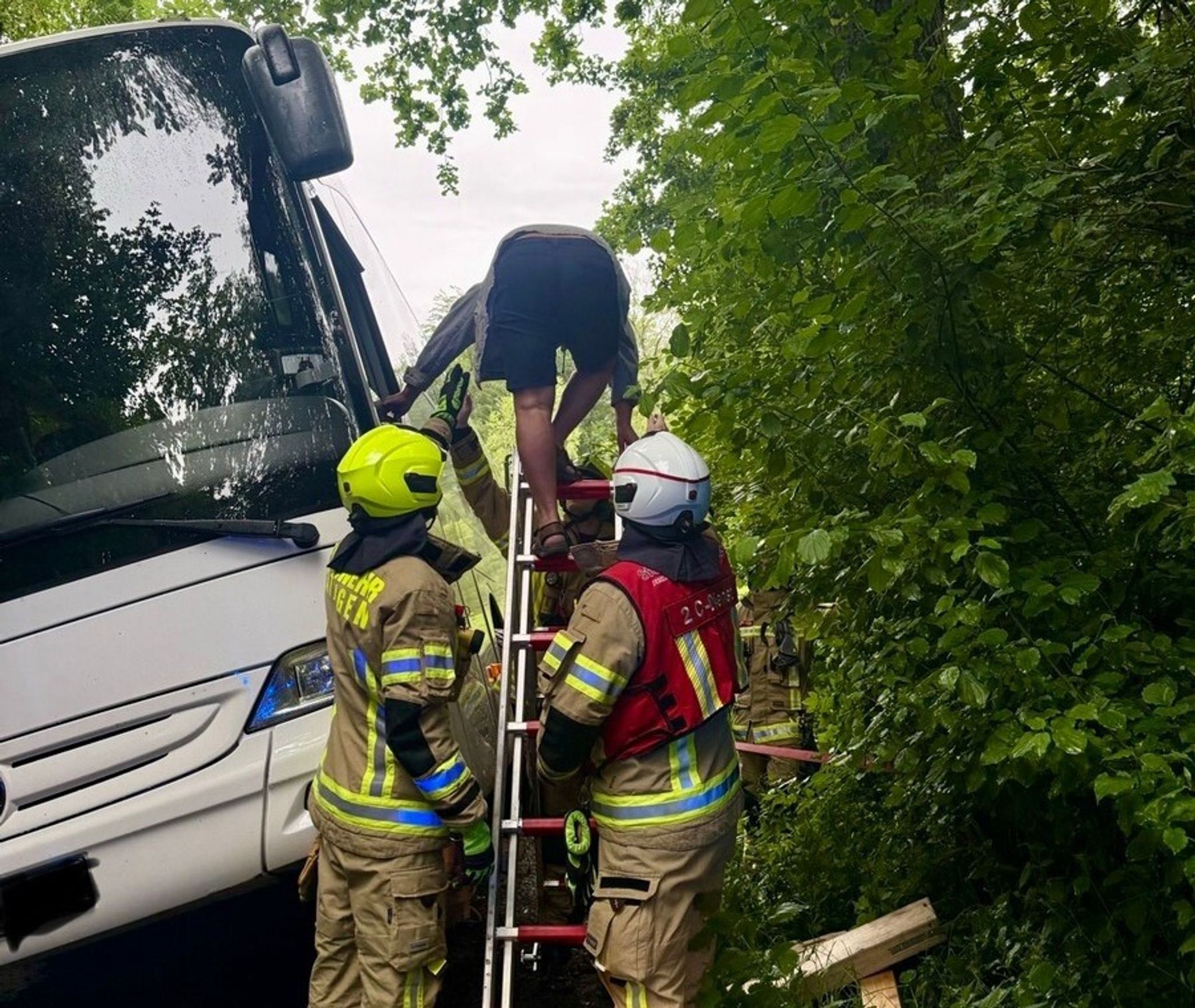 Auf Fahrt zu Jugendherberge: Bus kommt von Waldweg ab