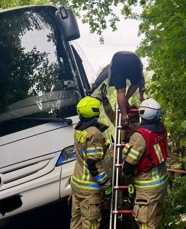 Auf Fahrt zu Jugendherberge: Bus kommt von Waldweg ab