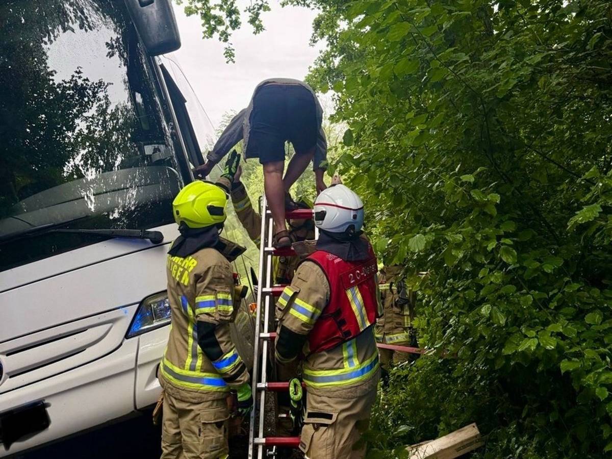 Auf Fahrt zu Jugendherberge: Bus kommt von Waldweg ab