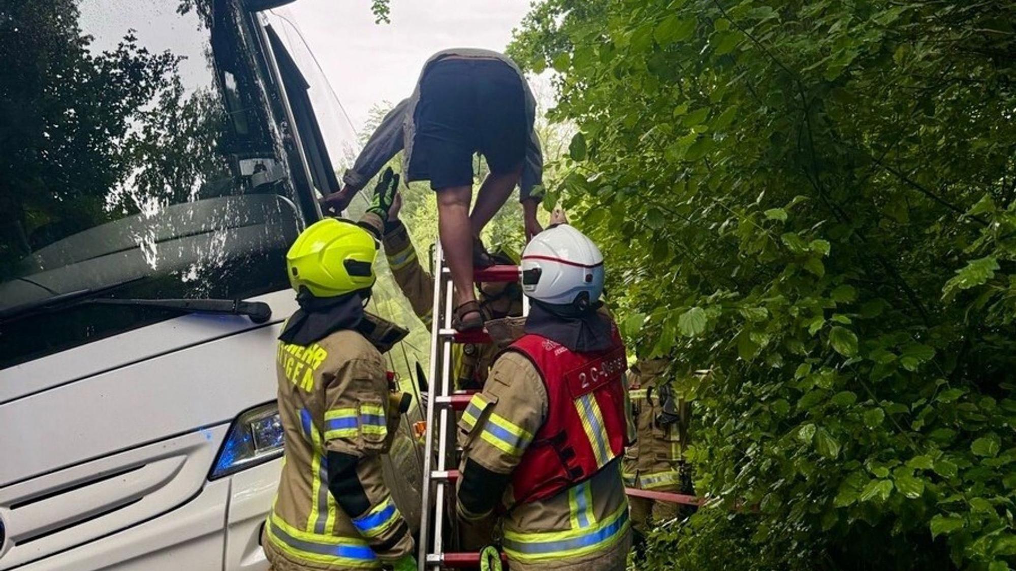 Auf Fahrt zu Jugendherberge: Bus kommt von Waldweg ab