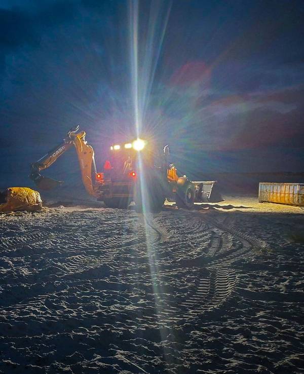 Weitere Entwicklung zum Buckelwal in der Ostsee